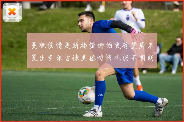 曼联伤情更新梅努姆伯莫有望周末复出多尔古德里赫特情况仍不明朗